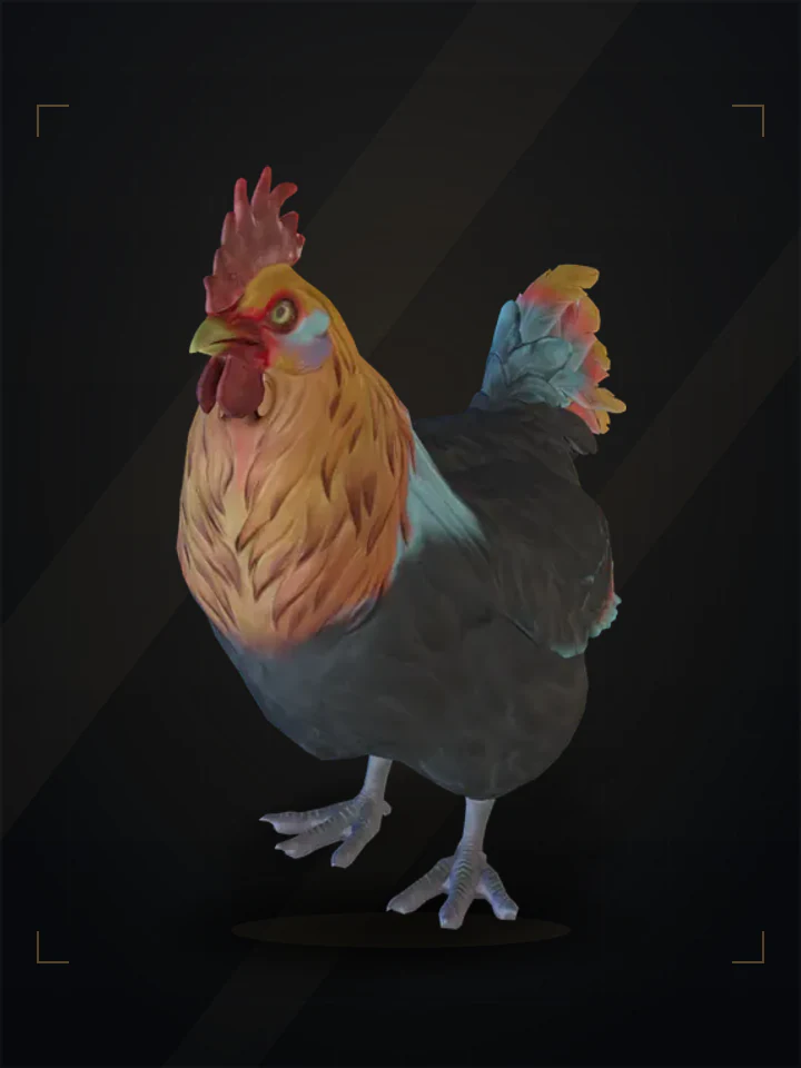 CS2 pet chicken: catalana, Black with Red Head