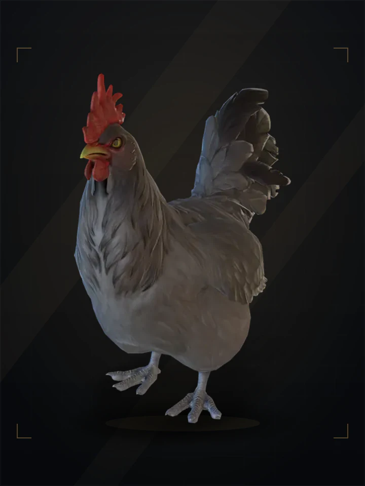 CS2 pet chicken: catalana, Black