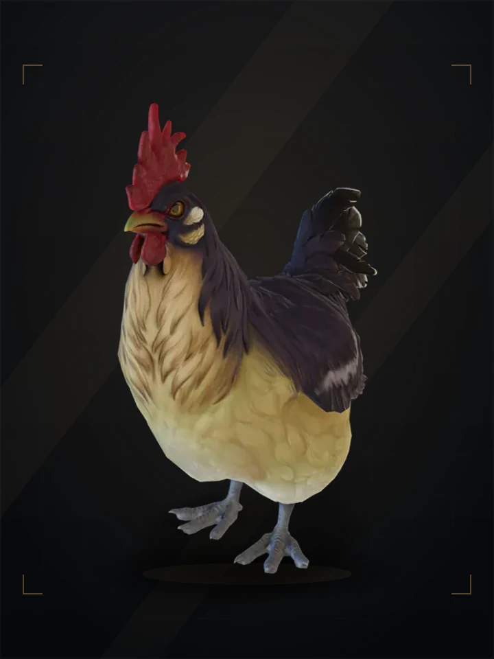 CS2 pet chicken: catalana, Blue and Light Orange