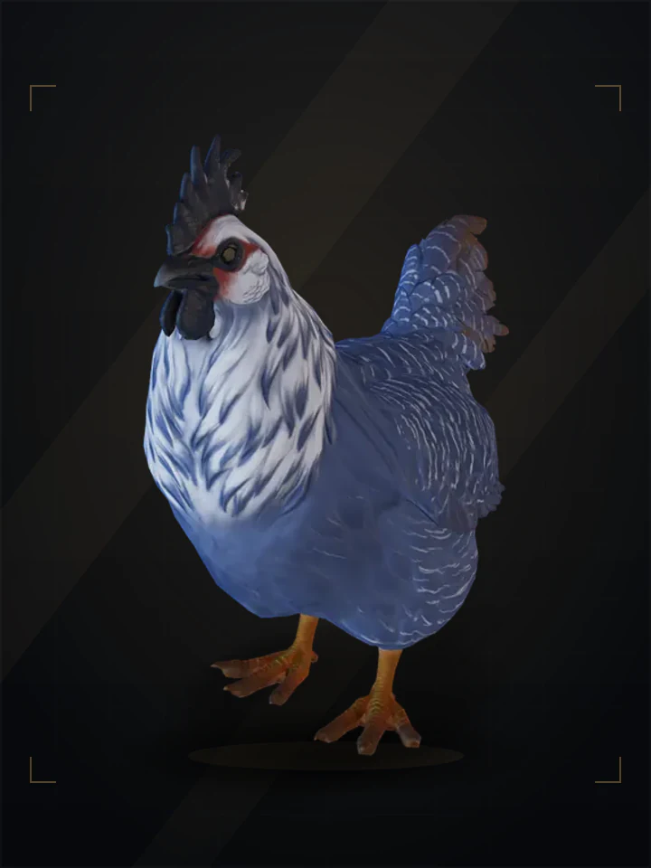 CS2 pet chicken: catalana, Blue