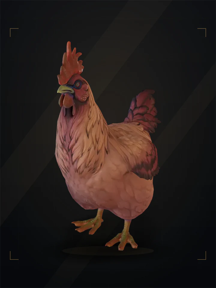 CS2 pet chicken: catalana, Dark Orange