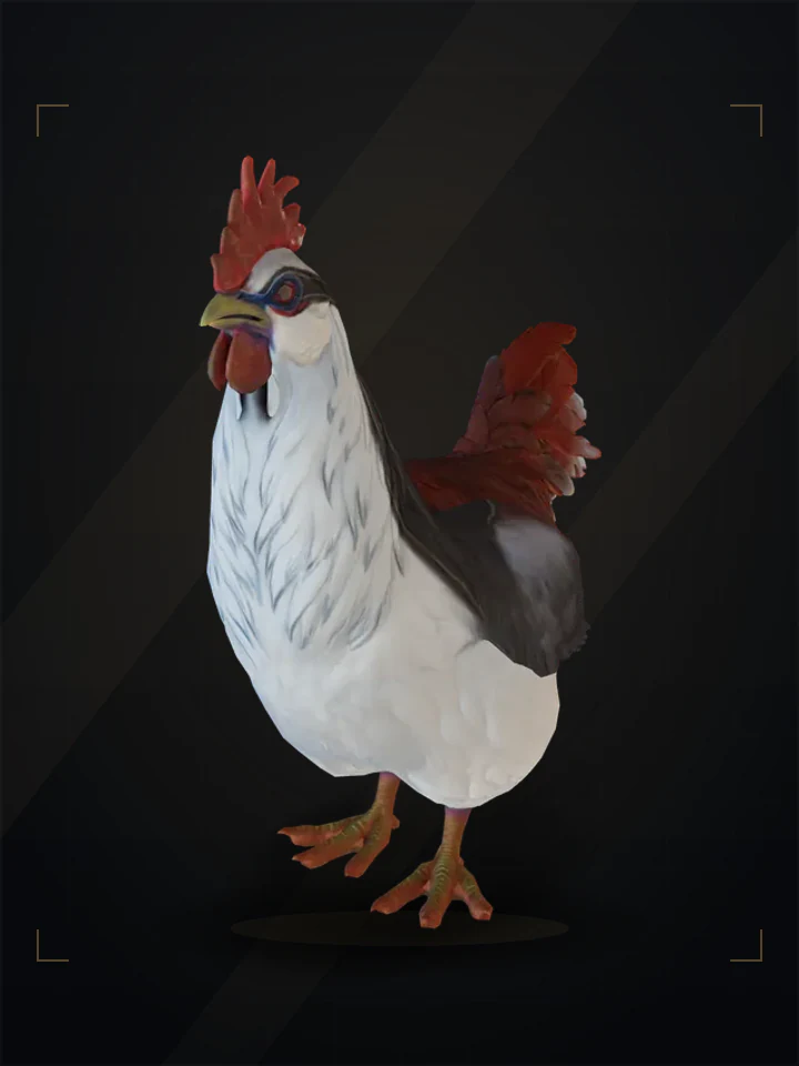 CS2 pet chicken: catalana, Light Blue and Red
