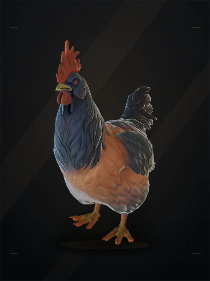 CS2 pet chicken: catalana, Orange with Blue Neck