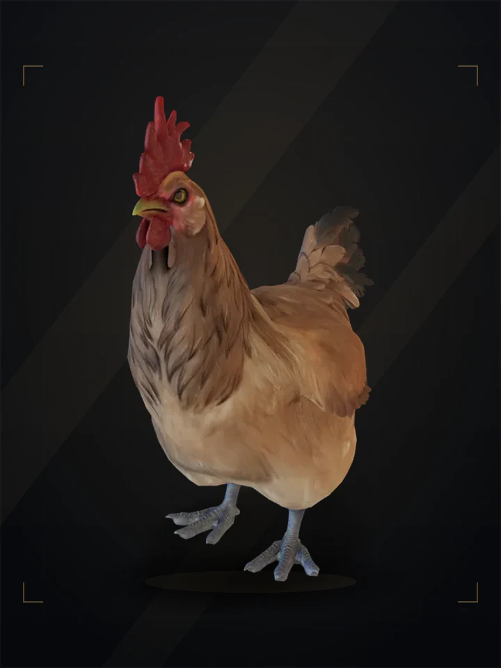 CS2 pet chicken: catalana, Tan
