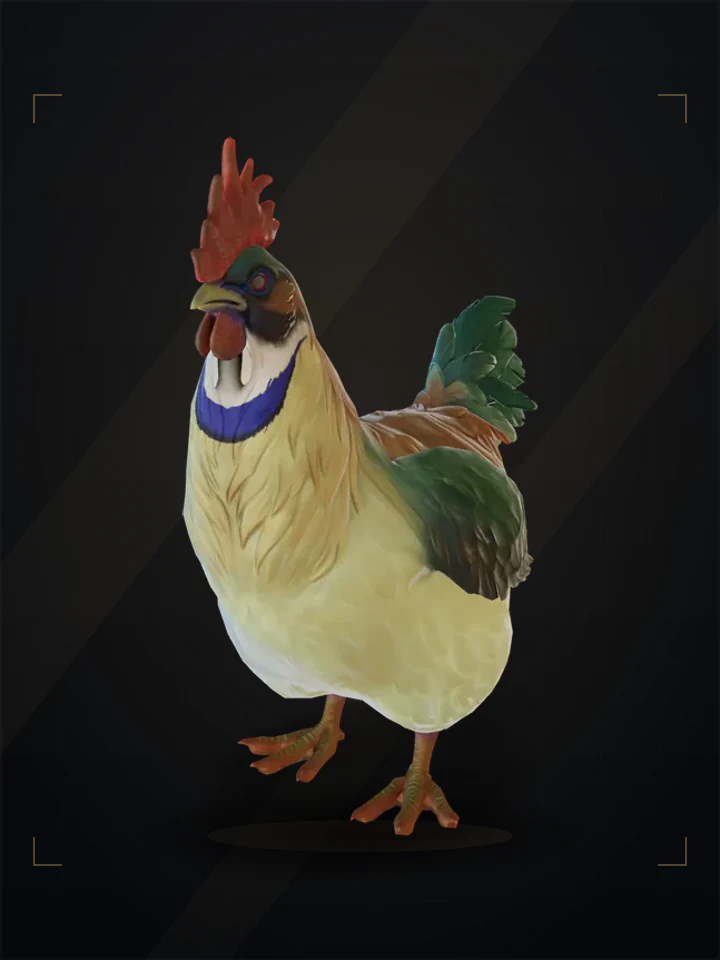 CS2 pet chicken: catalana, Yellow and Red