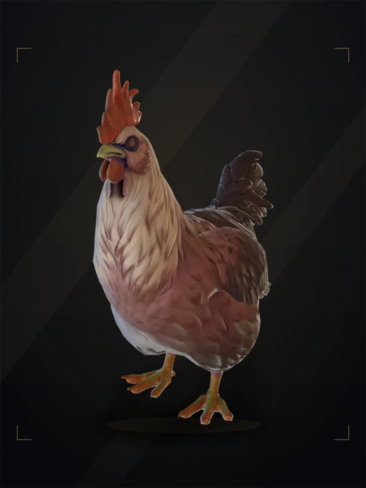 CS2 pet chicken: catalana, Yellow Red Gradient