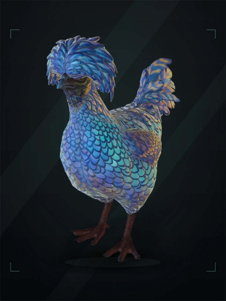 CS2 pet chicken: polish, Blue and Yellow