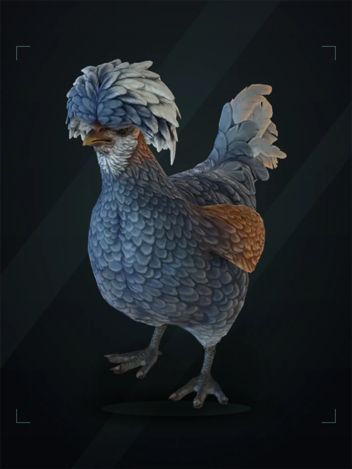 CS2 pet chicken: polish, Blue