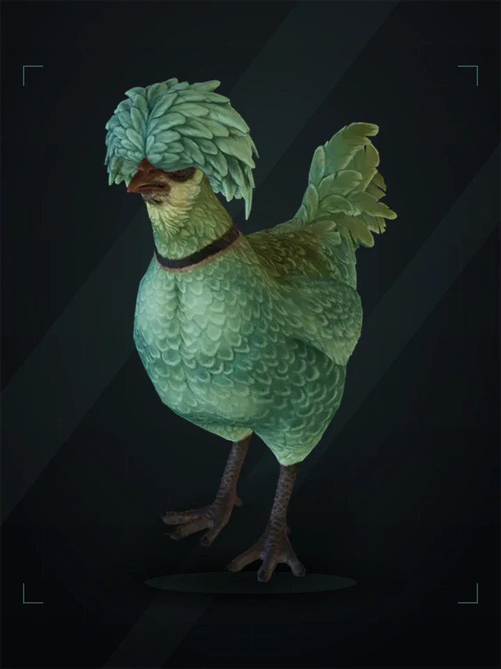 CS2 pet chicken: polish, Green