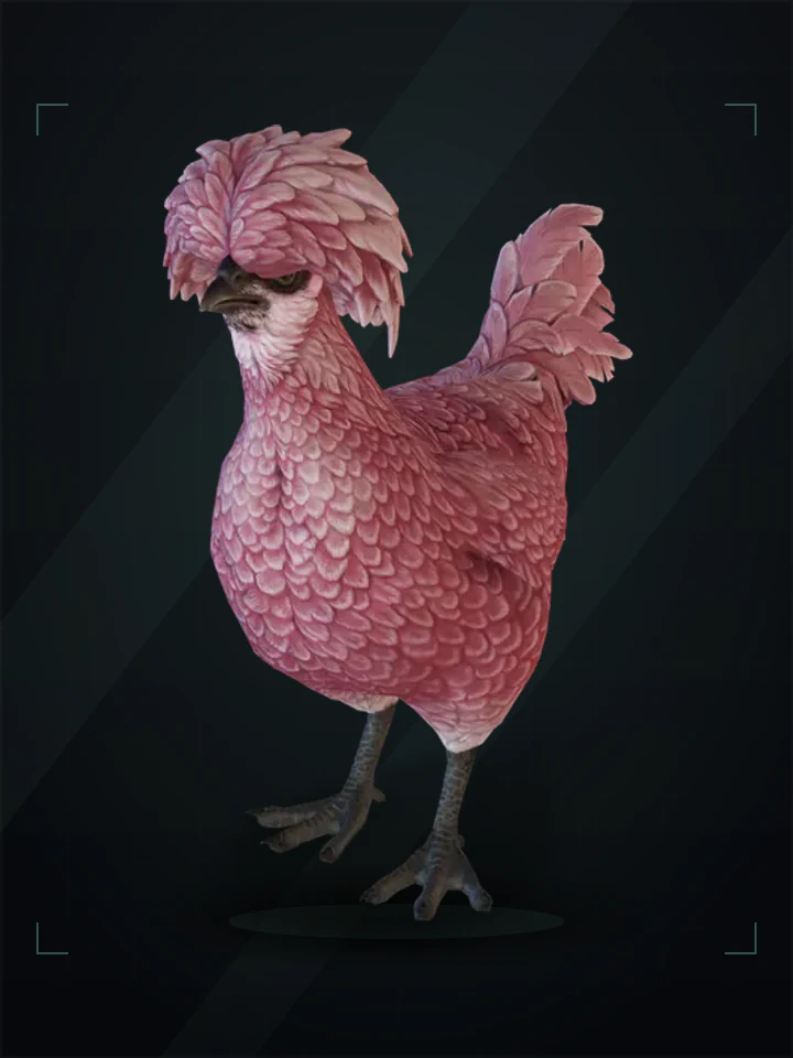 CS2 pet chicken: polish, Pink