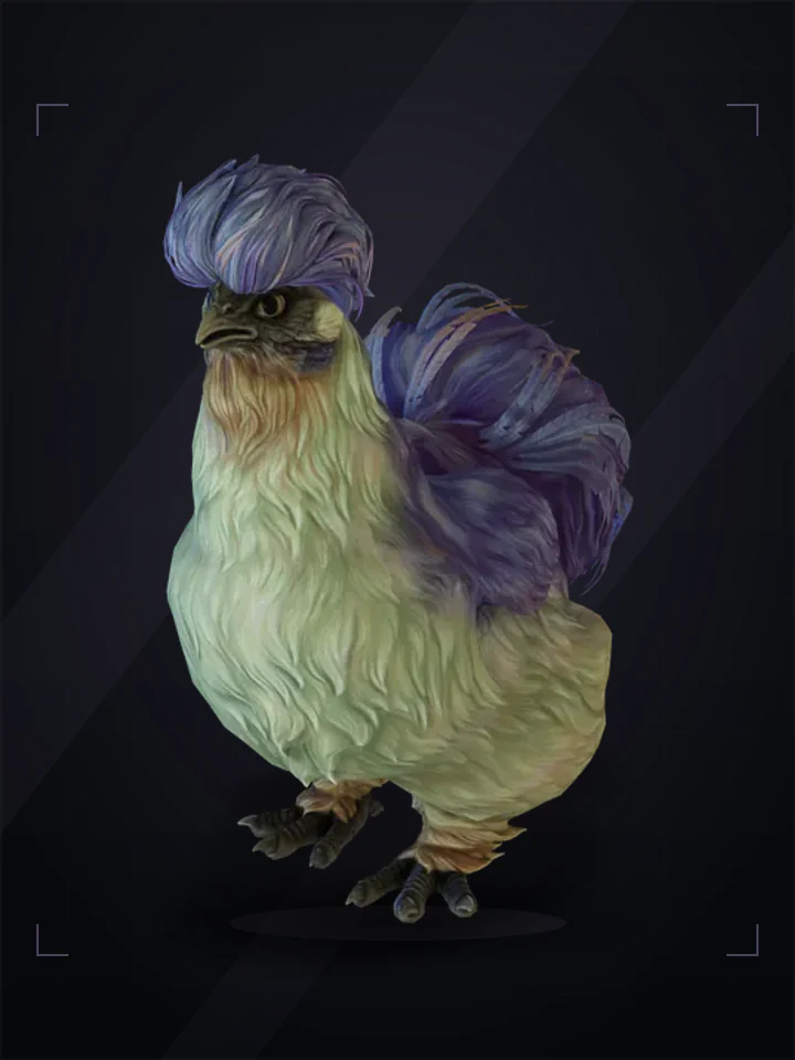 CS2 pet chicken: silkie, Blue with Red Beard