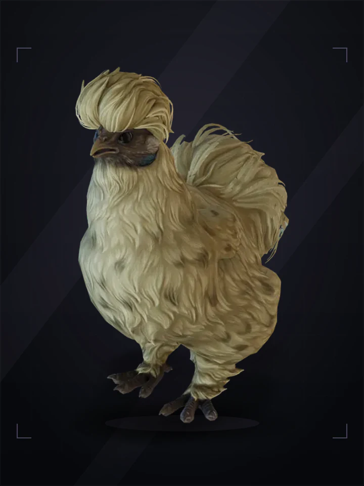 CS2 pet chicken: silkie, Leopard