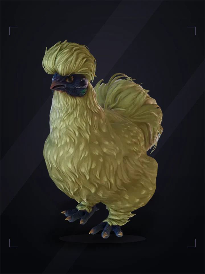 CS2 pet chicken: silkie, Orange