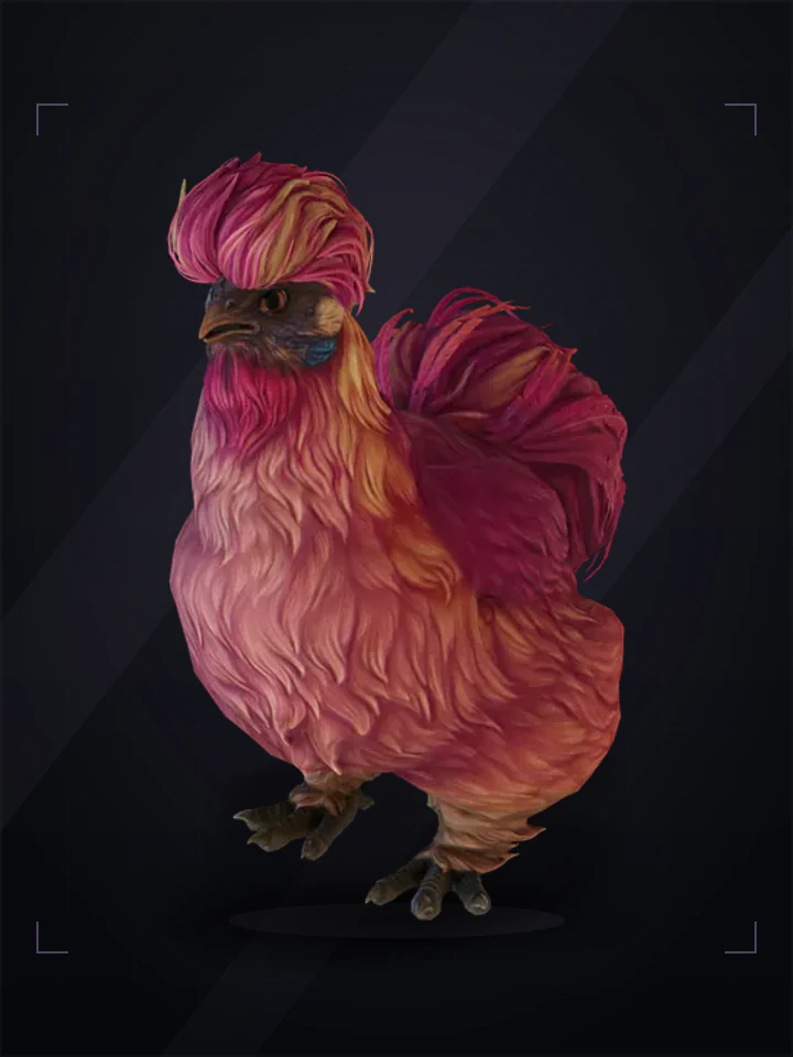 CS2 pet chicken: silkie, Red