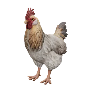Курица Catalana, окрас White with Tan Head, рендер из файлов CS2
