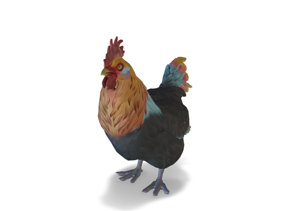 CS2 pet chicken: catalana, Black with Red Head