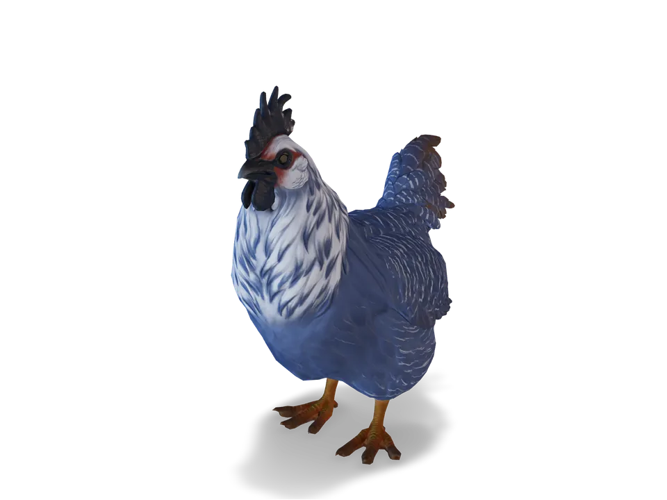 CS2 pet chicken: catalana, Blue