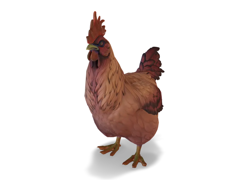 CS2 pet chicken: catalana, Dark Orange