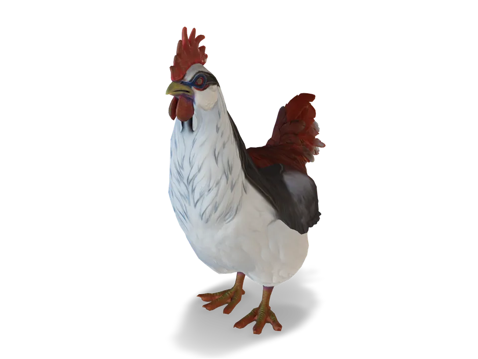 CS2 pet chicken: catalana, Light Blue and Red