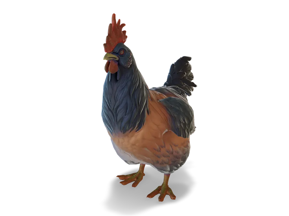 CS2 pet chicken: catalana, Orange with Blue Neck