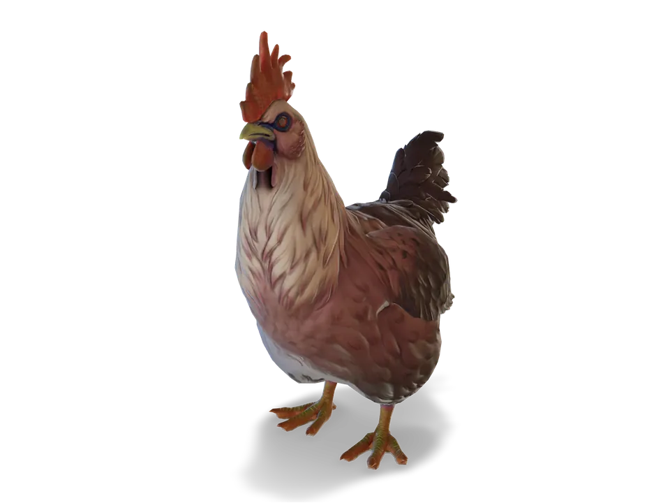 CS2 pet chicken: catalana, Yellow Red Gradient