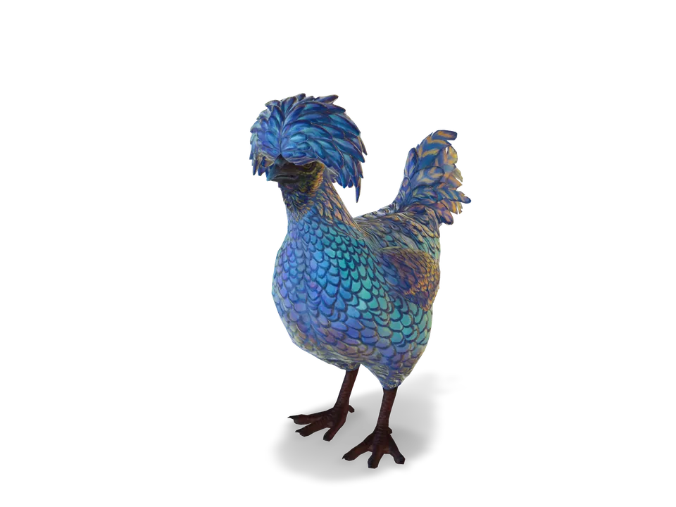 CS2 pet chicken: polish, Blue and Yellow