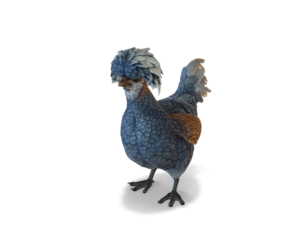 CS2 pet chicken: polish, Blue
