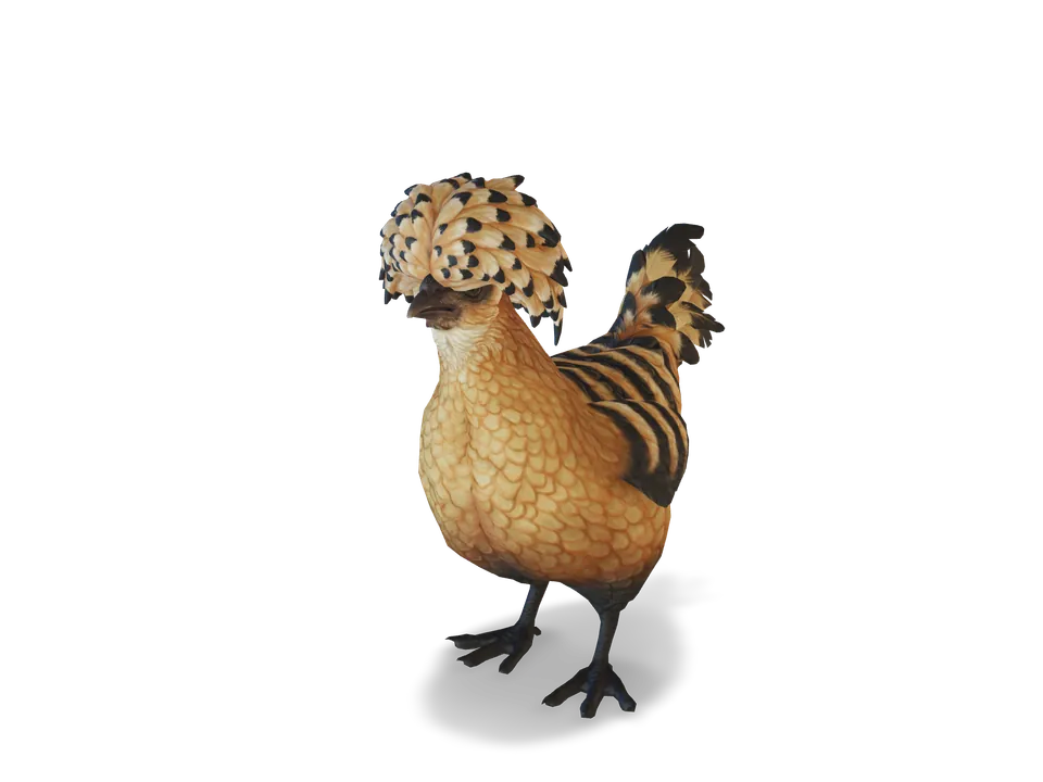 CS2 pet chicken: polish, Orange with Black Stripes