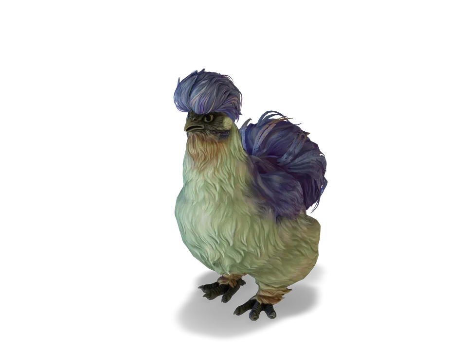 CS2 pet chicken: silkie, Blue with Red Beard