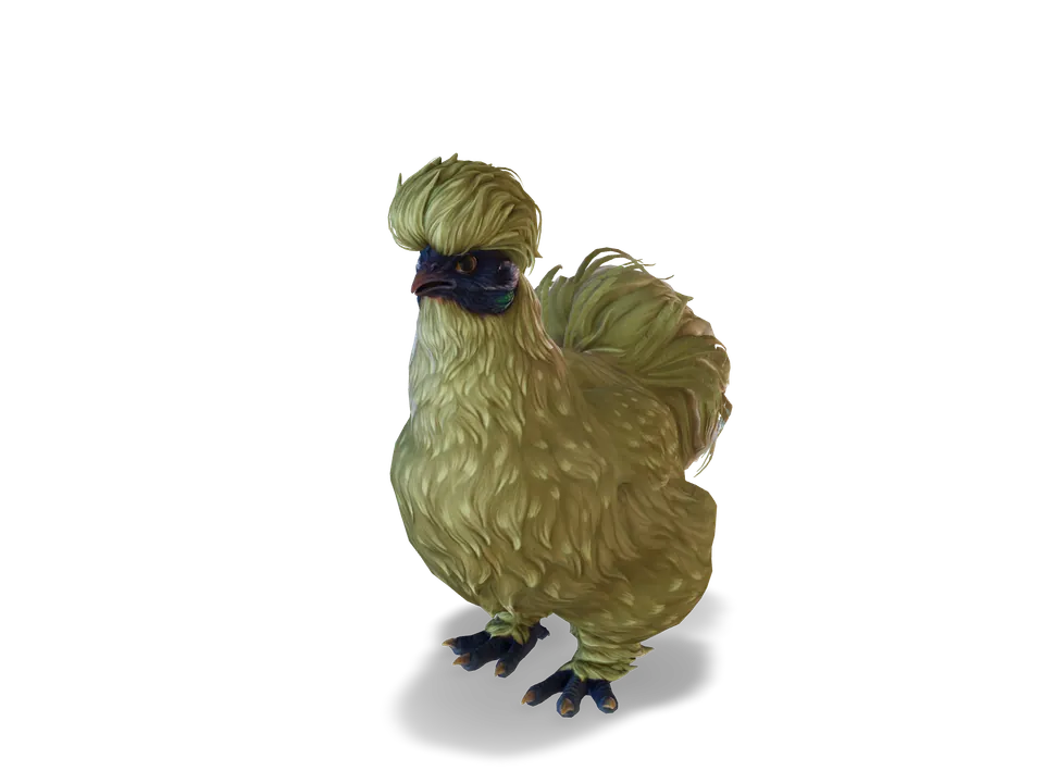 CS2 pet chicken: silkie, Orange