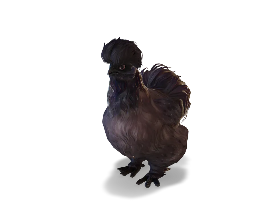 CS2 pet chicken: silkie, Purple