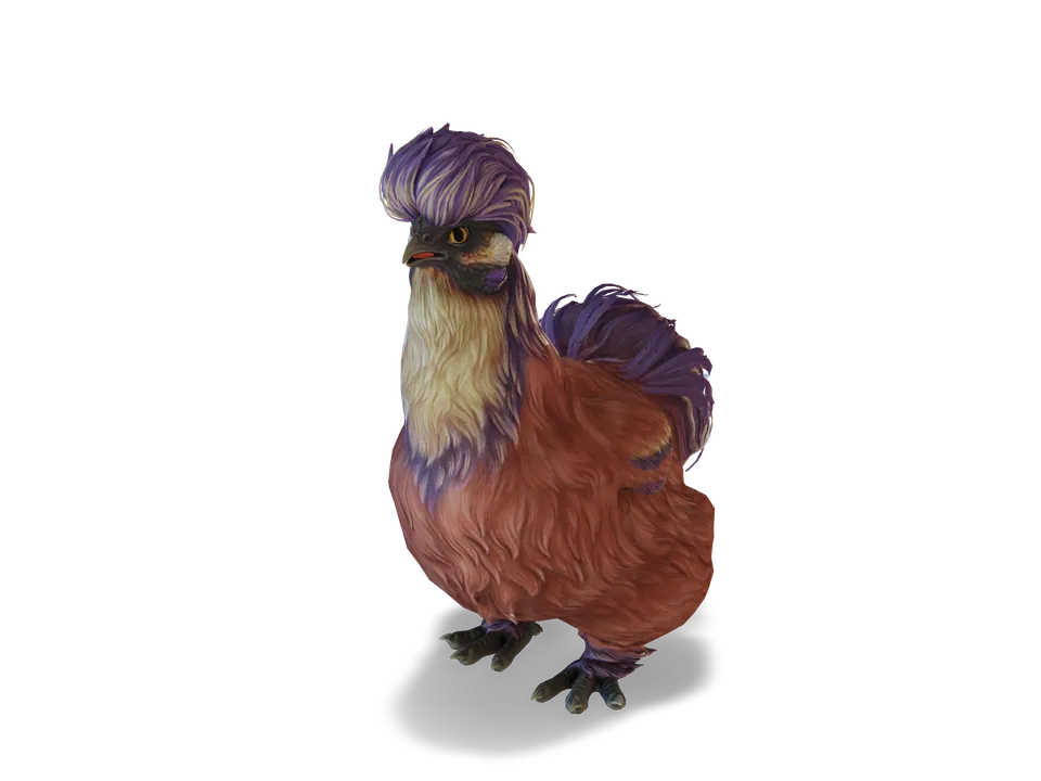 CS2 pet chicken: silkie, Red Beetle