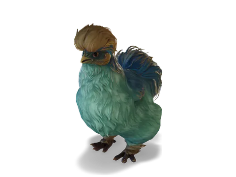 CS2 寵物雞 Silkie，Aqua with Yellow 毛色