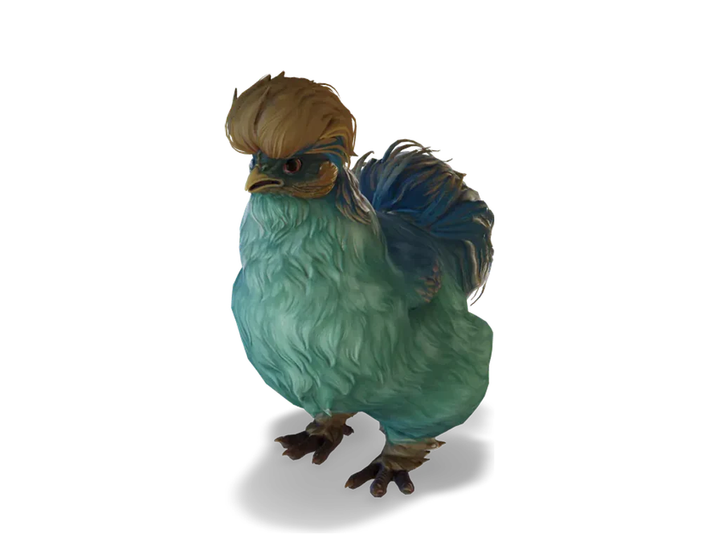 CS2 寵物雞 Silkie，Aqua with Yellow 毛色