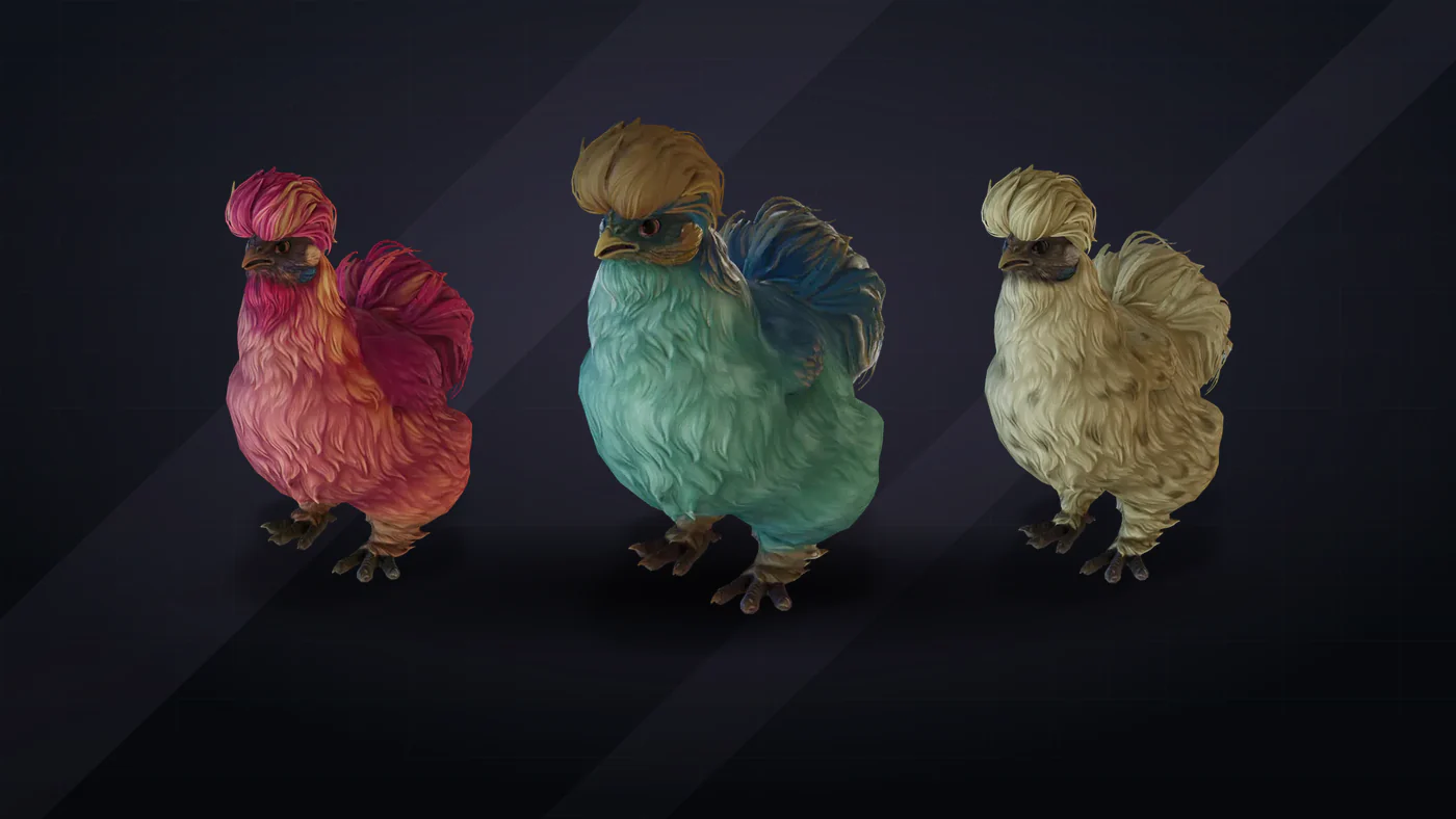 CS2 寵物雞 Silkie