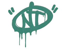 NT — skin CS2