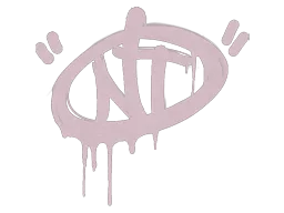 NT — skin CS2