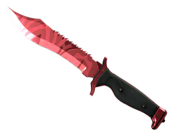 ★ Bowie Knife | Slaughter — CS2 skin