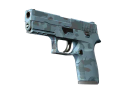 P250 | Forest Night — CS2 skin