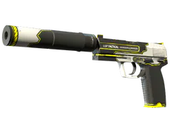 USP-S | Torque — CS2 स्किन