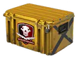 Falchion Case