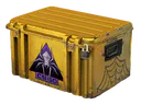 Shattered Web Case