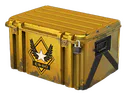 Winter Offensive Weapon Case