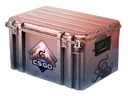 Dreams & Nightmares Case