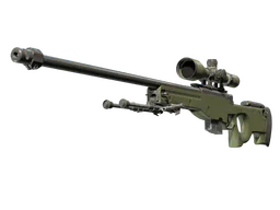 AWP — CS2 造型一覽