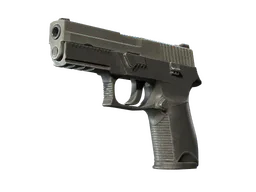 P250 — CS2 造型一覽