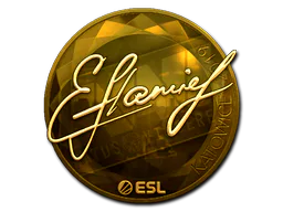flamie (Gold) | Katowice 2019