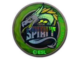 Team Spirit (Holo)