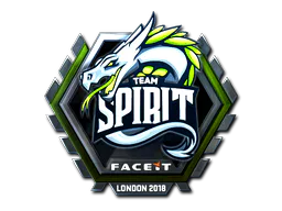 Team Spirit (Foil)