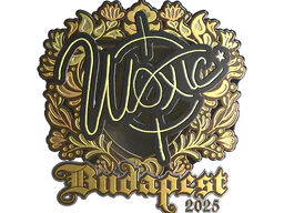 woxic (Gold) | Budapest 2025